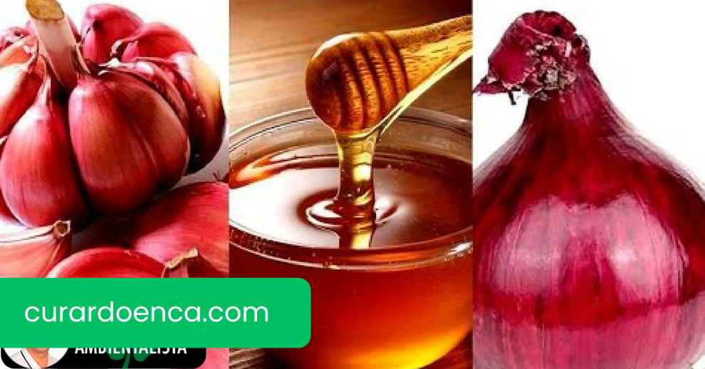 cebola (Imagem divulgação)