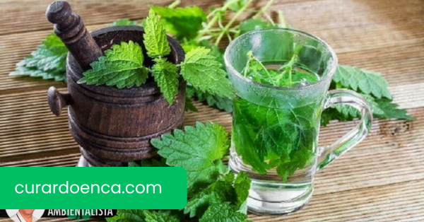 9 remédios caseiros e naturais para problemas de próstata