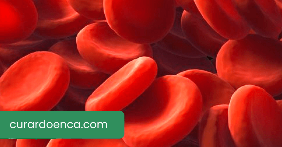 sangue (Imagem divulgação)