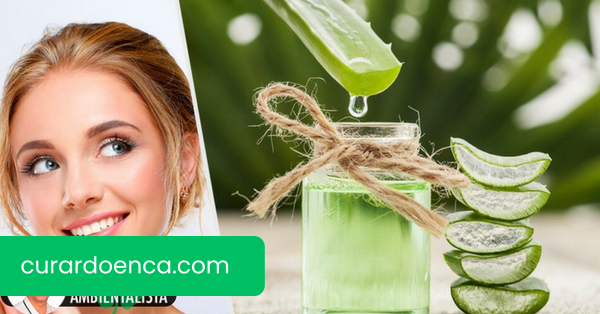 5 benefícios de tomar suco de aloe vera diariamente