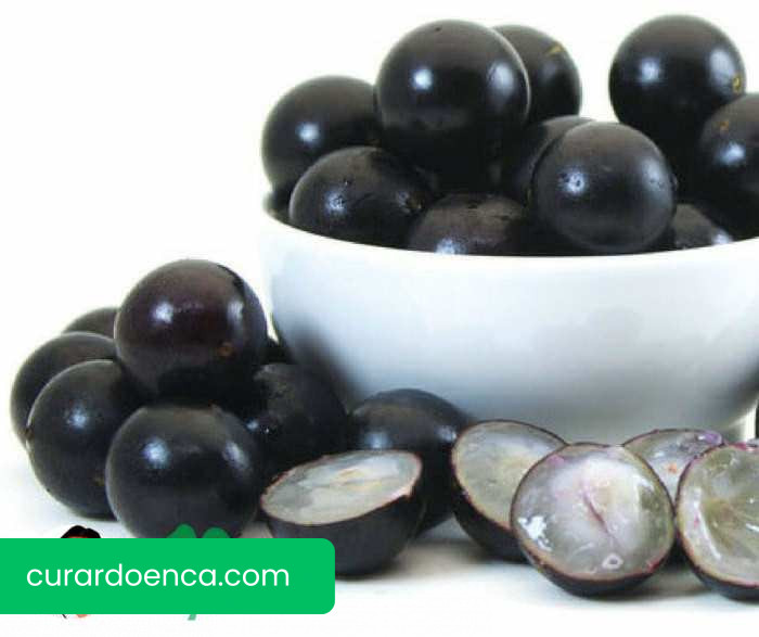 jabuticaba (imagem divulgação)