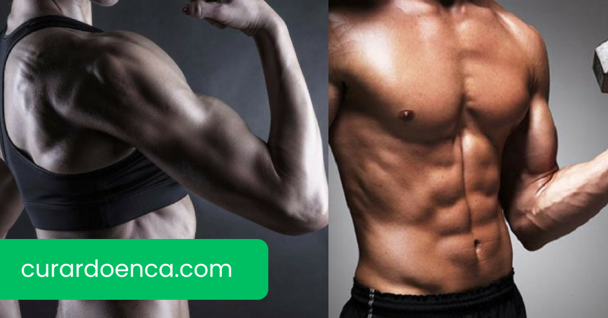 muscular (Imagem divulgação)