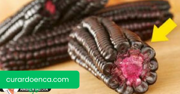 Você conhece o milho roxo? Estes são seus poderosos benefícios!