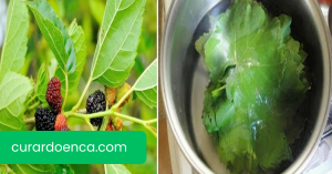 amora (Imagem divulgação)