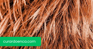 caspa (Imagem divulgação)