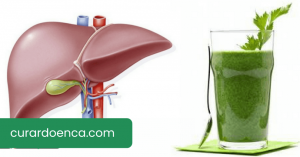 fígado (Imagem divulgação)