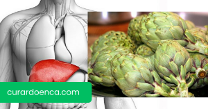 fígado (Imagem divulgação)