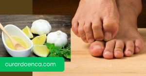 fungos (Imagem divulgação)