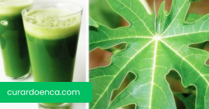 mamão (Imagem divulgação)