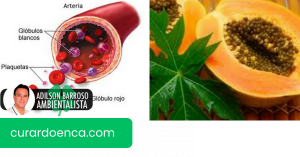 Você precisa fazer o upload de suas plaquetas? Descubra 4 remédios que ajudarão você