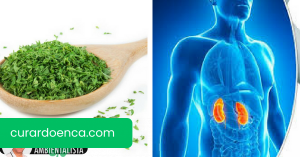 Prepare esta planta em infusão e limpe seus rins