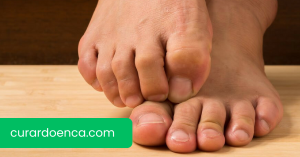 fungos (Imagem divulgação)