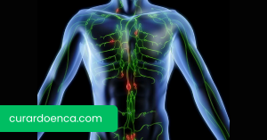 linfático (Imagem divulgação)