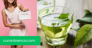 menstruação (Imagem divulgação)