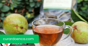 3 remédios com folhas de goiaba para corrimento vaginal excessivo