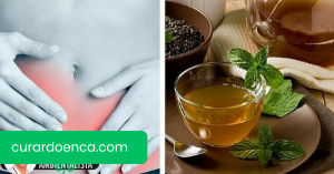 Boldo, um excelente aliado no combate às doenças urinárias