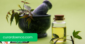 5 maneiras simples de usar o óleo de nim como remédio caseiro