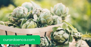 Combate o colesterol com esta preparação de alcachofra