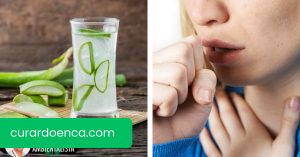 Remédio para aloe vera, mel e azeite para curar tosse crônica