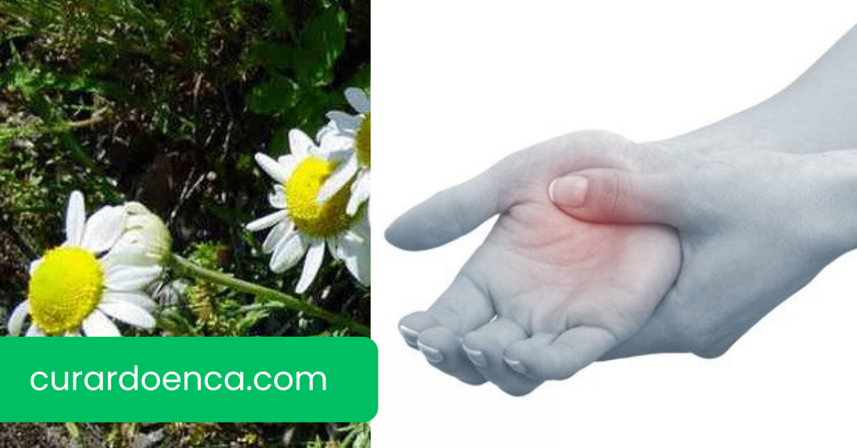 inflamação (Imagem divulgação)