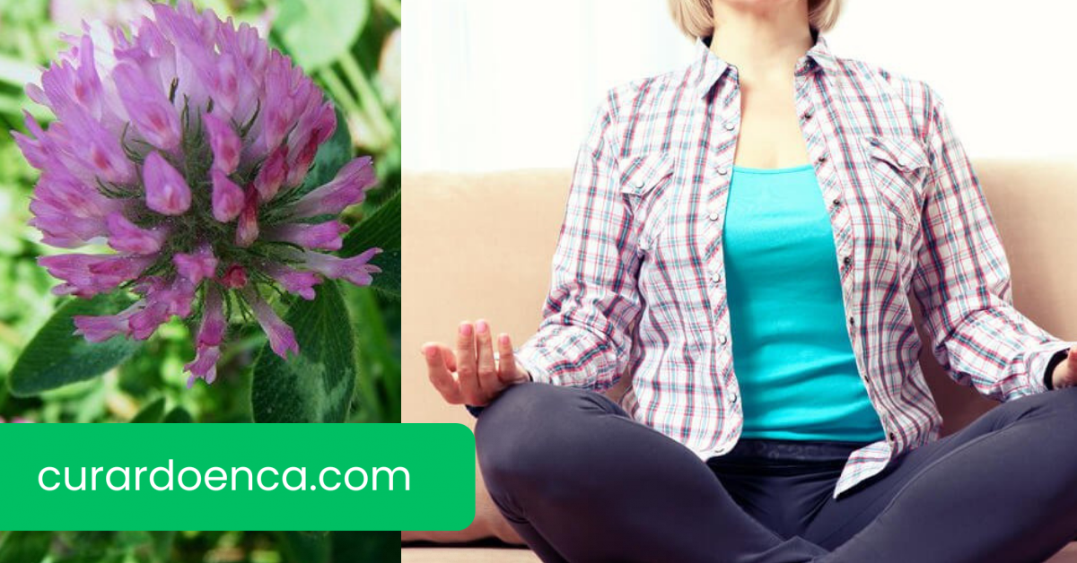 menopausa (Imagem divulgação)