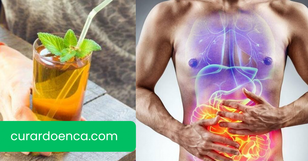 intestino (Imagem divulgação)