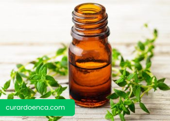 10 Usos e Benefícios do Óleo Essencial de Tomilho