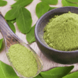 Moringa proibida - Anvisa