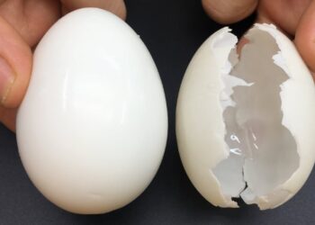 Não cozinhe os ovos diretamente na água! Esse é o segredo dos restaurantes!