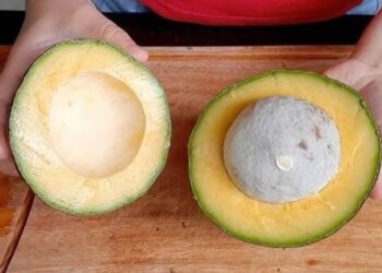 Como congelar abacate maduro para não ficar preto e não estragar! Dura meses!