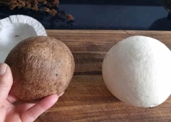 Técnica para retirar o coco da casca! Sua vida vai mudar ao descobrir como é simples e rápido