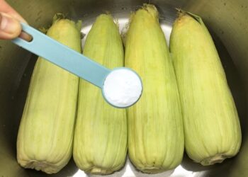 Não adicione água diretamente ao milho! Chef famoso revela o segredo para um milho cozido perfeito!