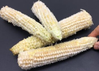 O sabugo das espigas de milho é um verdadeiro tesouro! Não jogue fora!