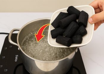 Milhares de pessoas ainda não conhecem este segredo! Ferva carvão e comece a lucrar com isso!