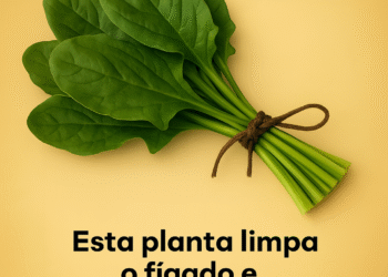 Como esta folha revoluciona sua digestão e protege seu fígado