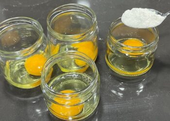 Essa receita está fazendo o maior sucesso! É fácil de preparar, econômica e deliciosa