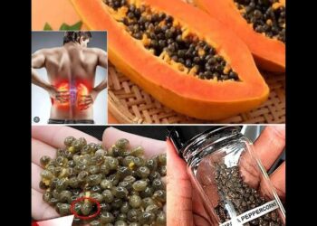 por que você deveria pensar duas vezes antes de jogá-las fora