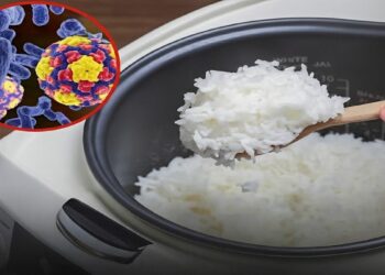 Ninguém ousaria reaquecer arroz para comer se conhecesse esta terrível verdade! Todos devem ter cuidado